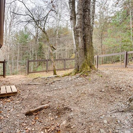 Peaceful Warne Cabin Fenced Yard And Screened Porch Brasstown Eksteriør billede
