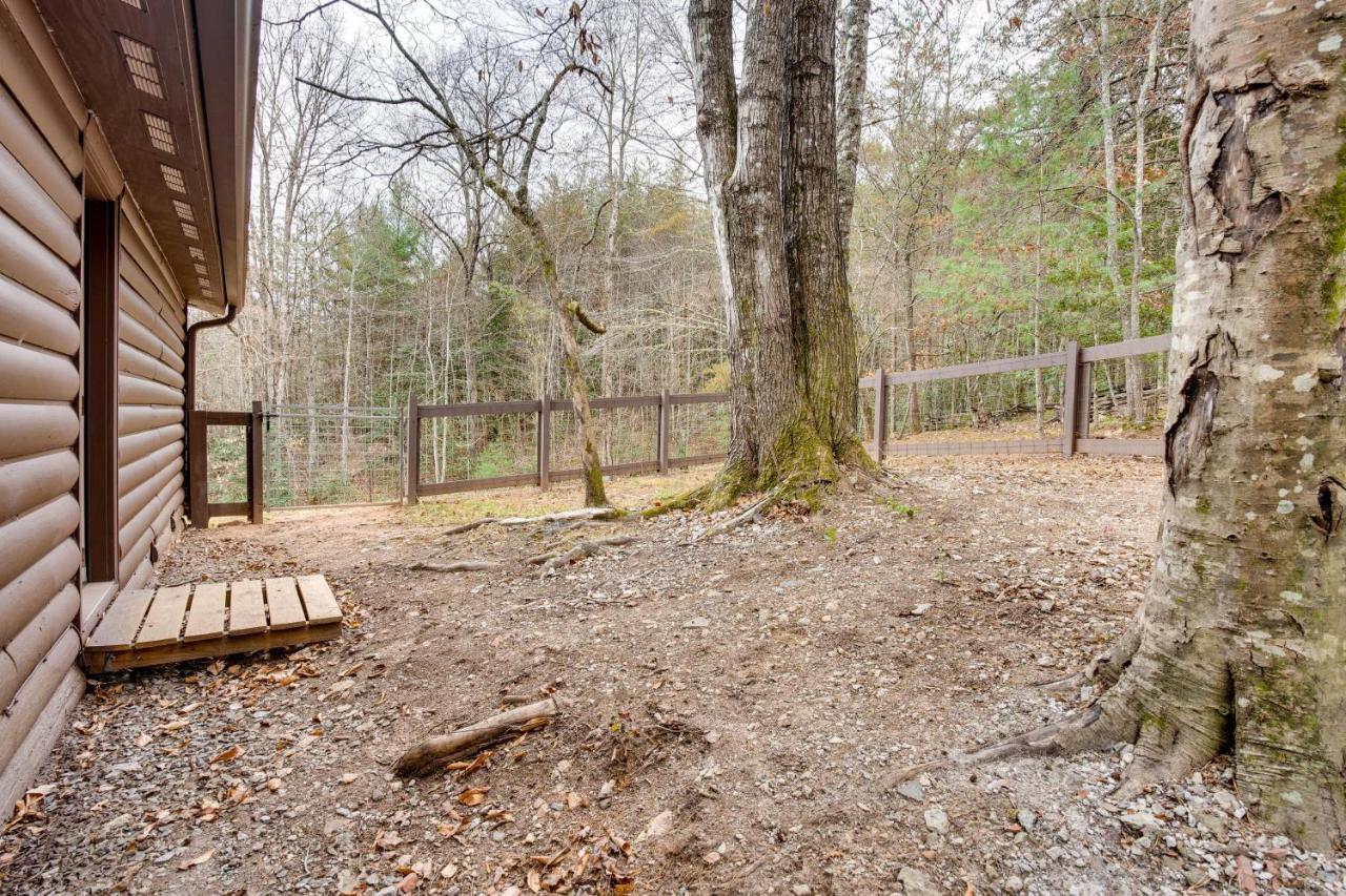 Peaceful Warne Cabin Fenced Yard And Screened Porch Brasstown Eksteriør billede